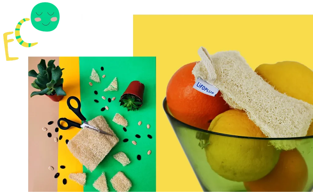 Flax LifoPlus Home Products Eco Tips