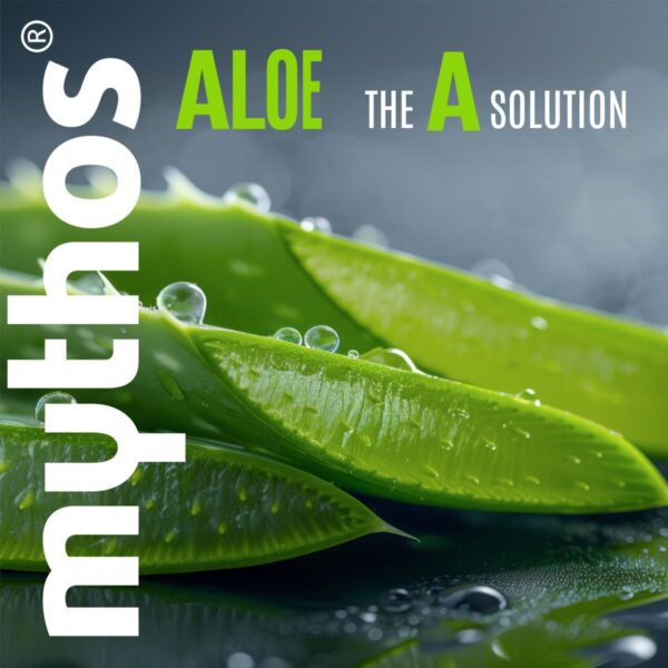 mythos-aloe-2 mythos-aloe-2
