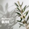 mythos-olive-tree-2 mythos-olive-tree-2